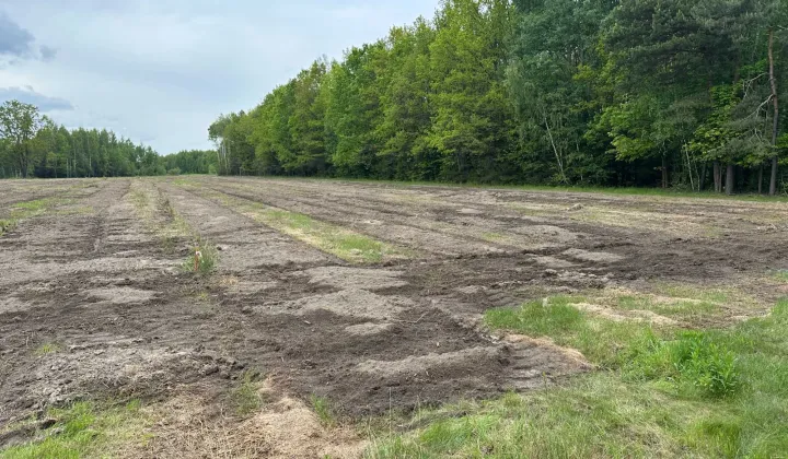 Działka budowlana Wola Polska