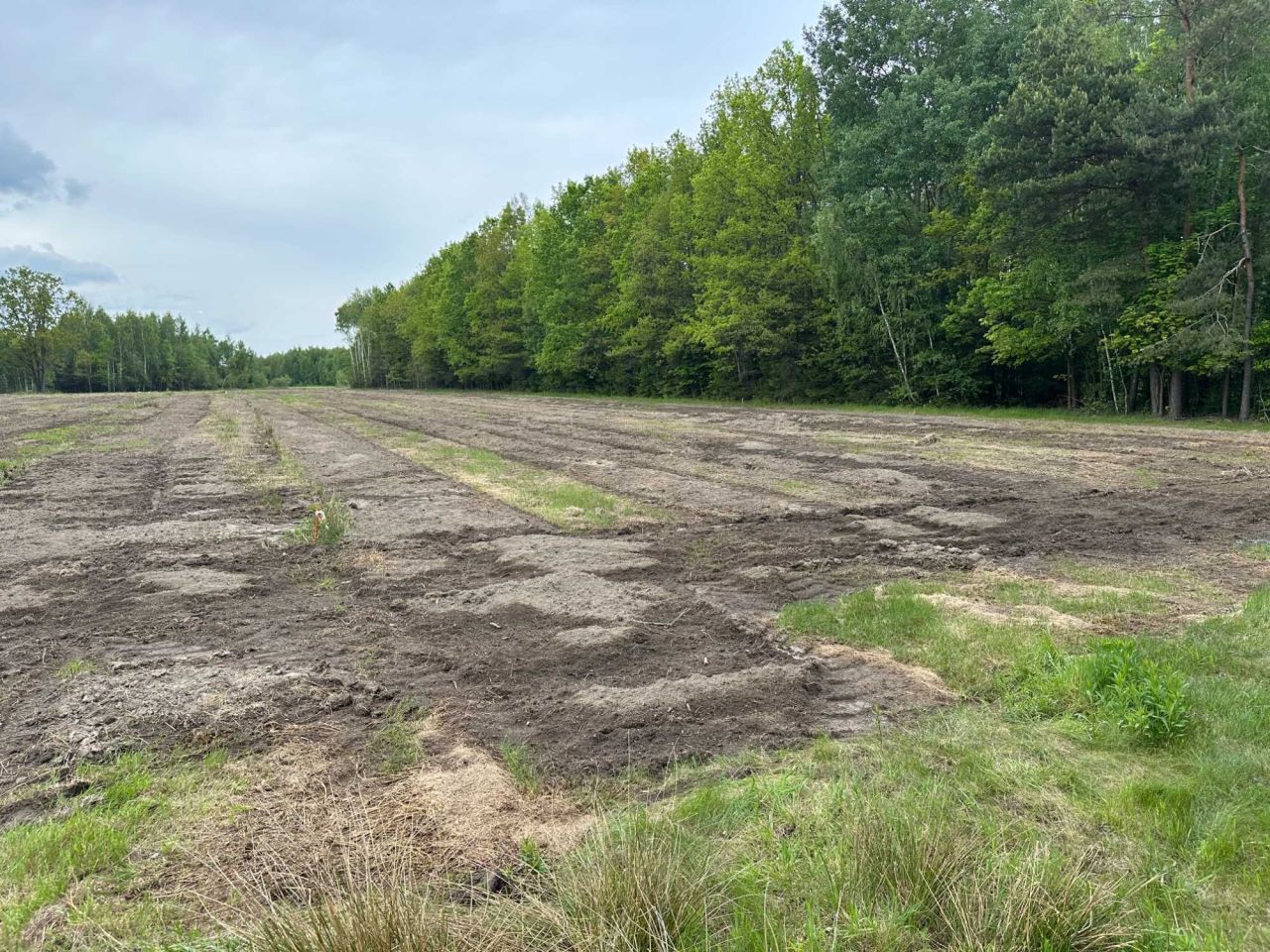 Działka budowlana Wola Polska. Zdjęcie 1