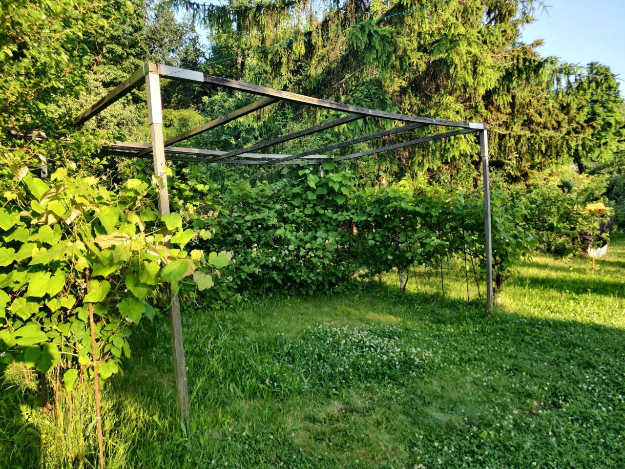 Działka rod Wrocław Pilczyce, ul. Hutnicza. Zdjęcie 7