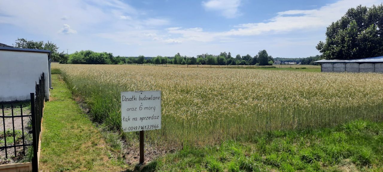 Działka rolno-budowlana Dylaki Michalanka, ulica Ozimska. Zdjęcie 7