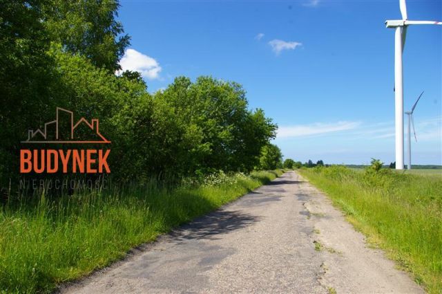 Działka rolna Jeżyce. Zdjęcie 11