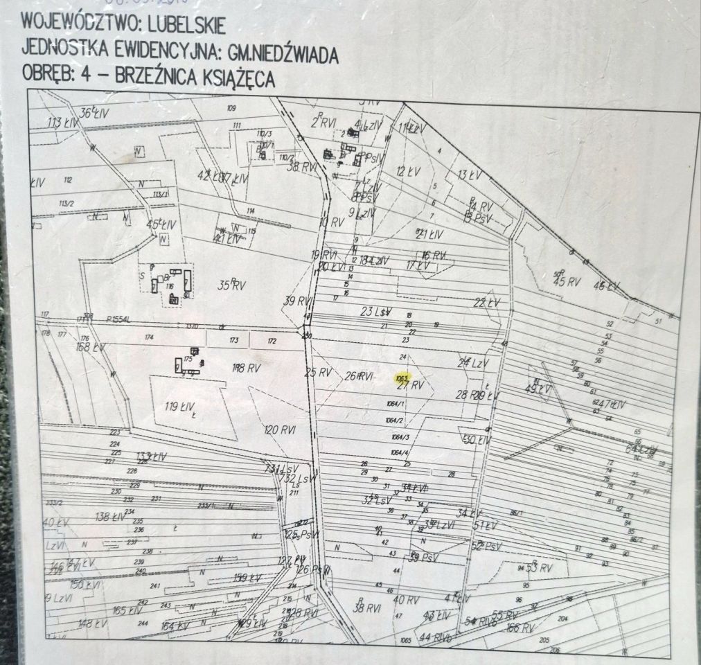 Działka leśna Brzeźnica Książęca-Kolonia. Zdjęcie 8