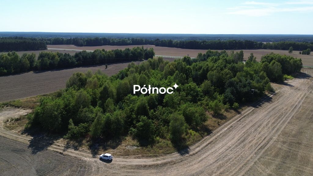 Działka inwestycyjna Dąbrowa Bolesławiecka. Zdjęcie 13