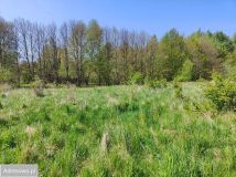 Działka budowlana Rusinowo. Zdjęcie 4