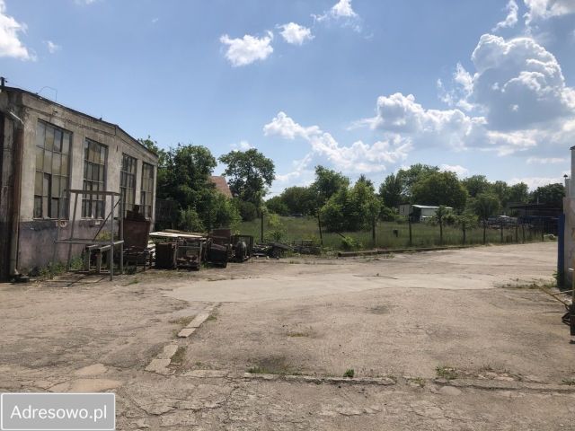 Działka inwestycyjna Przytoczna. Zdjęcie 1