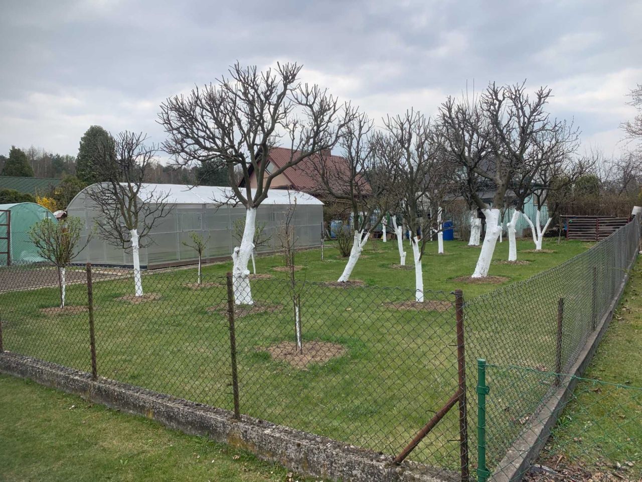 Działka rod Poręba, ul. Modrzewiowa. Zdjęcie 4