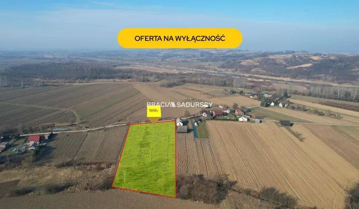 Działka siedliskowa Szczurowa, Popędzyna