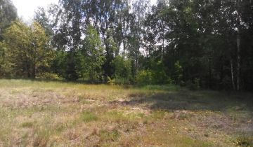 Działka rolna Mielinek