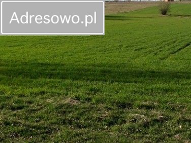 Działka rolno-budowlana Będzienica. Zdjęcie 1