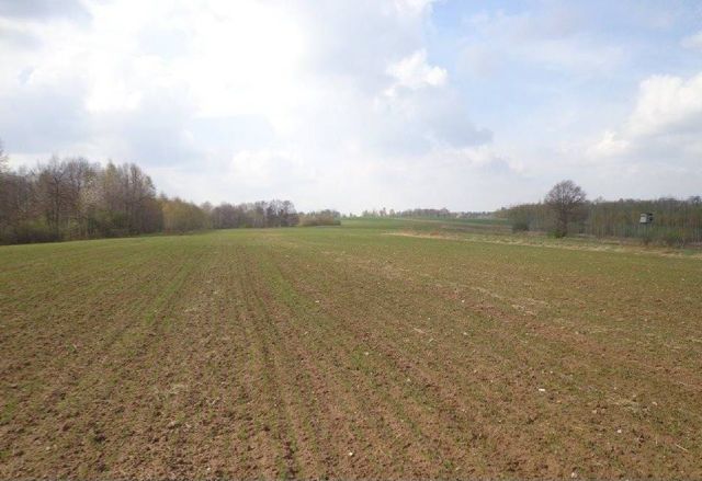 Działka rolna Chobanin. Zdjęcie 1