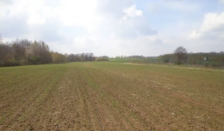 Działka rolna Chobanin