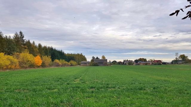 Działka budowlana Przedecz. Zdjęcie 7