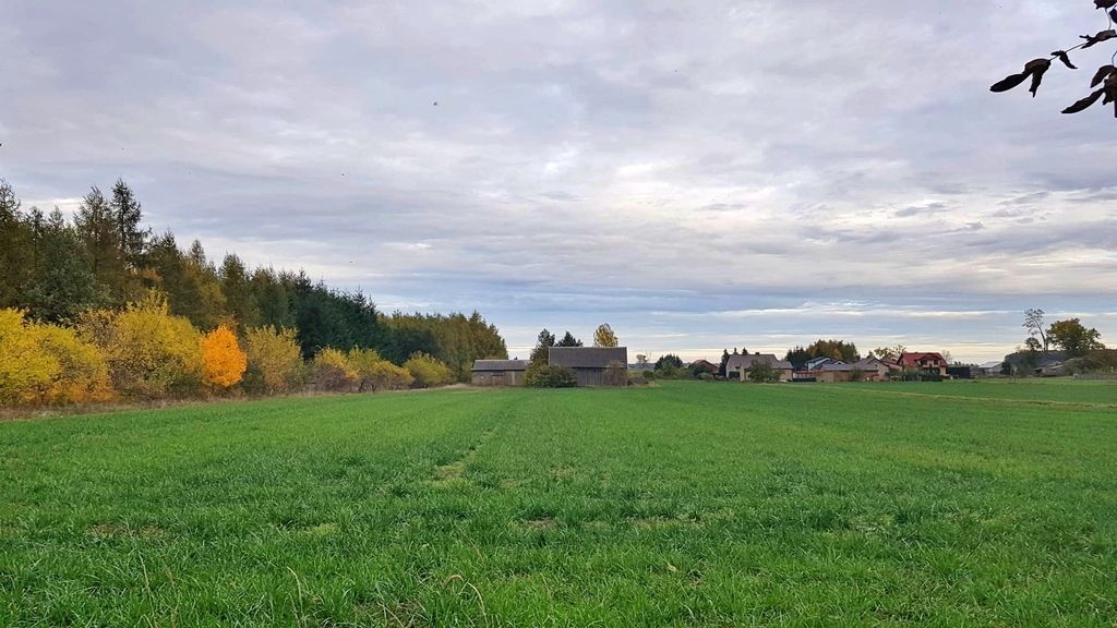 Działka budowlana Przedecz. Zdjęcie 7