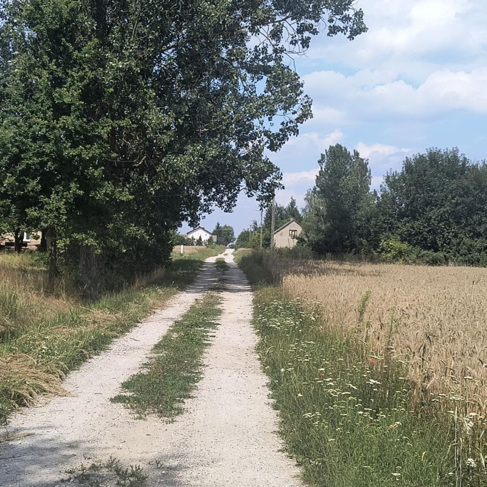 Działka rolno-budowlana Bęczkowice Poduchowne. Zdjęcie 5