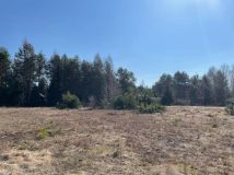 Działka budowlana Faryny, ul. Klonowa. Zdjęcie 1