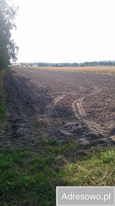 Działka rolno-budowlana Górno-Parcele. Zdjęcie 6