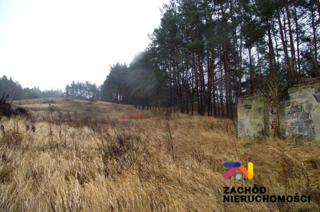 Działka budowlana Zielona Góra Łężyca. Zdjęcie 6