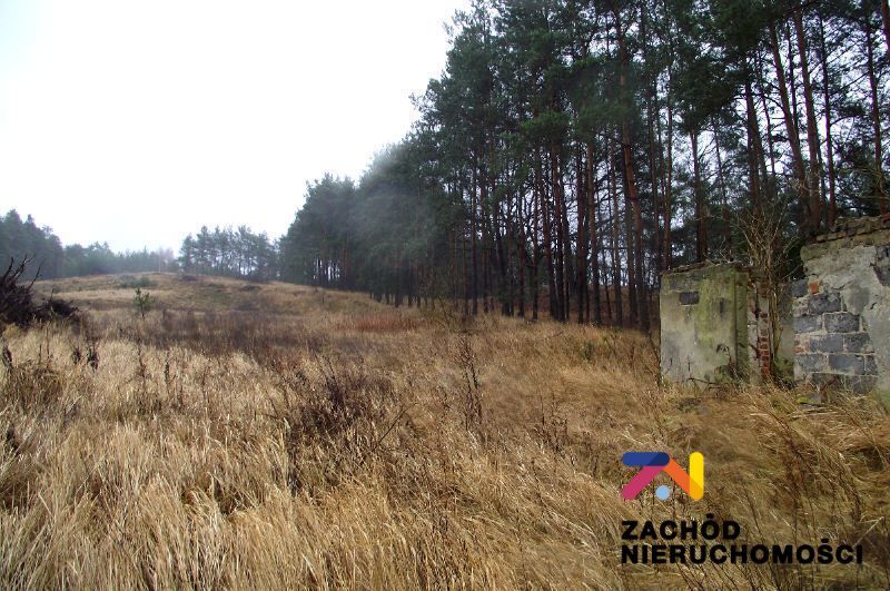 Działka budowlana Zielona Góra Łężyca. Zdjęcie 6