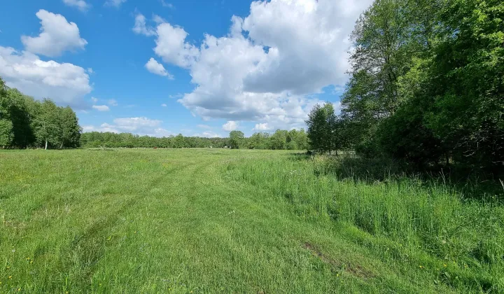 Działka rod Potrzanowo