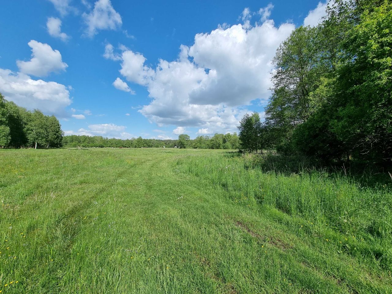 Działka rod Potrzanowo