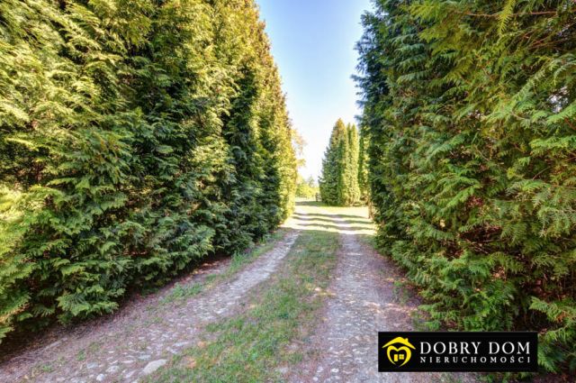 dom wolnostojący, 11 pokoi Kaniuki. Zdjęcie 15