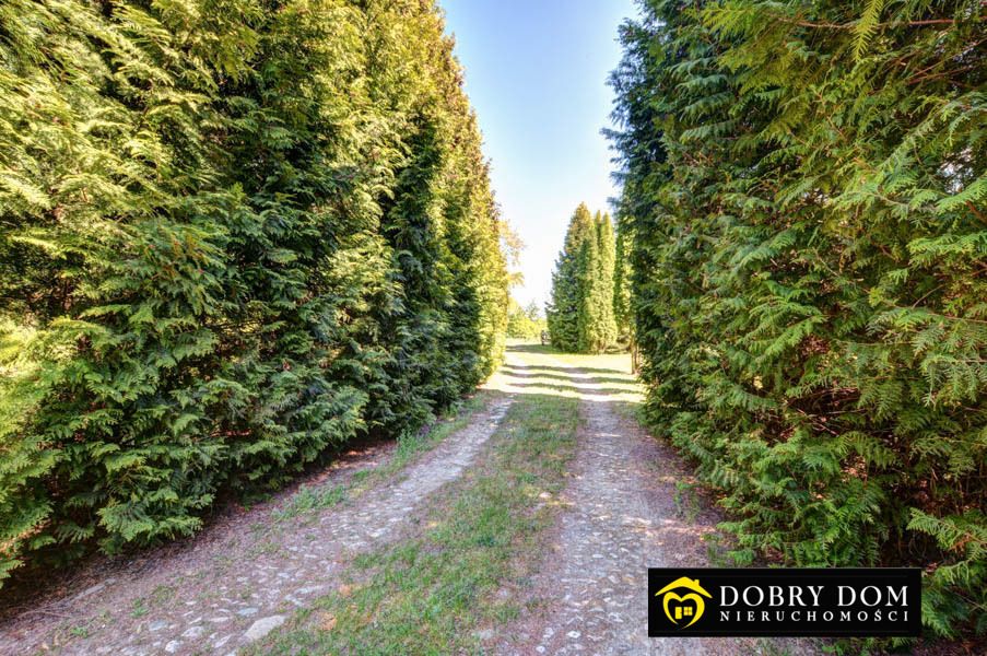 dom wolnostojący, 11 pokoi Kaniuki. Zdjęcie 15