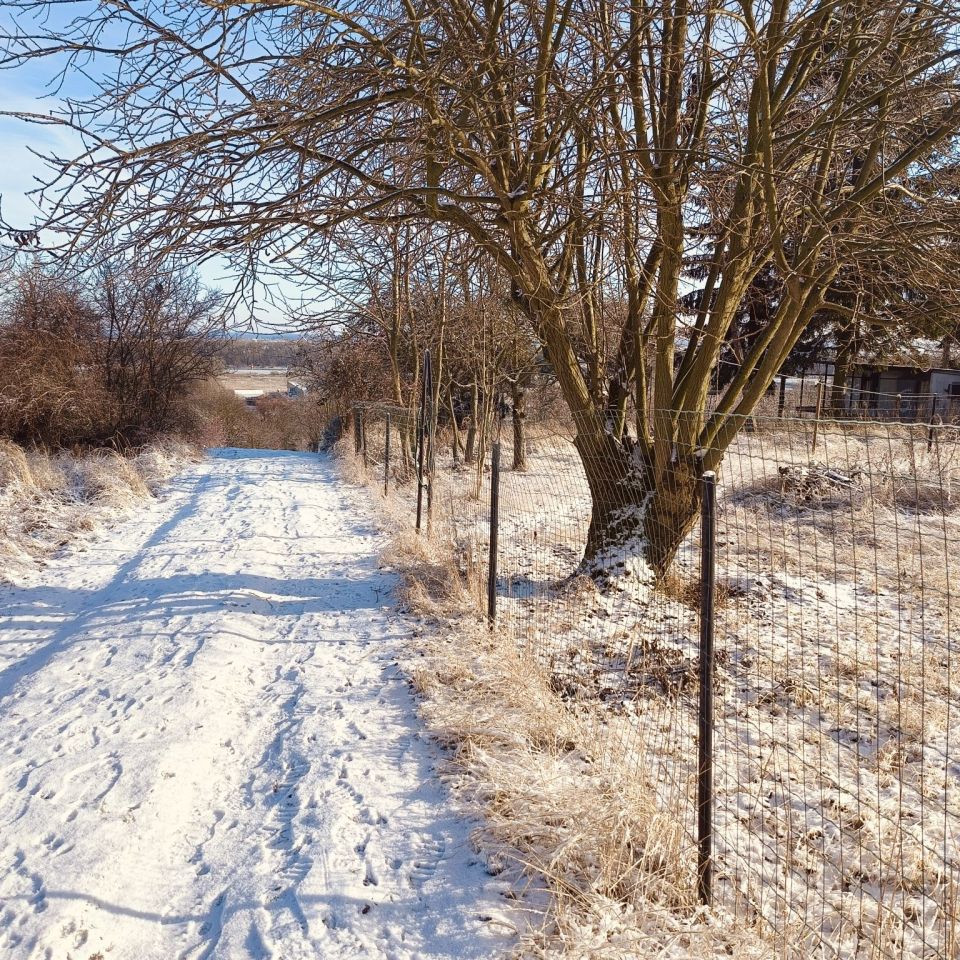 Działka rod Szczecin Bukowo, ul. Podgórna. Zdjęcie 5