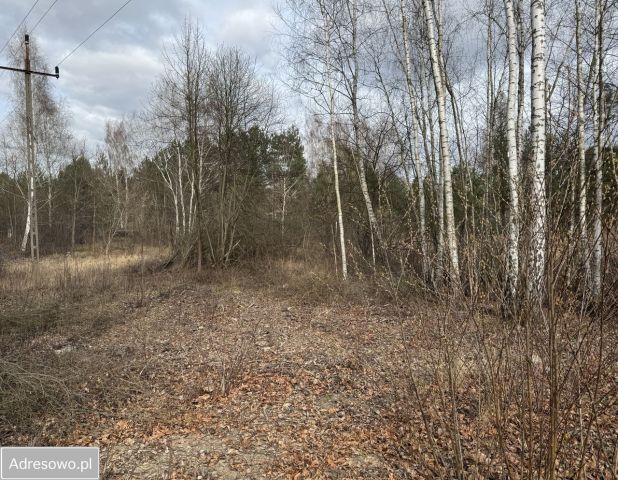 Działka rolno-budowlana Ślężany, ul. Lipowa. Zdjęcie 1