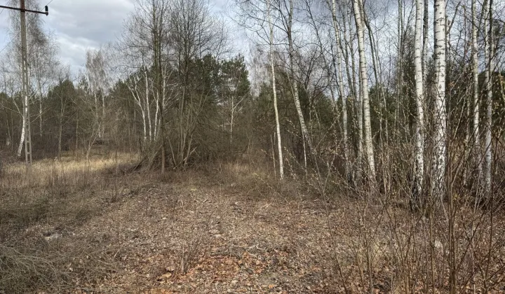 Działka rolno-budowlana Ślężany, ul. Lipowa