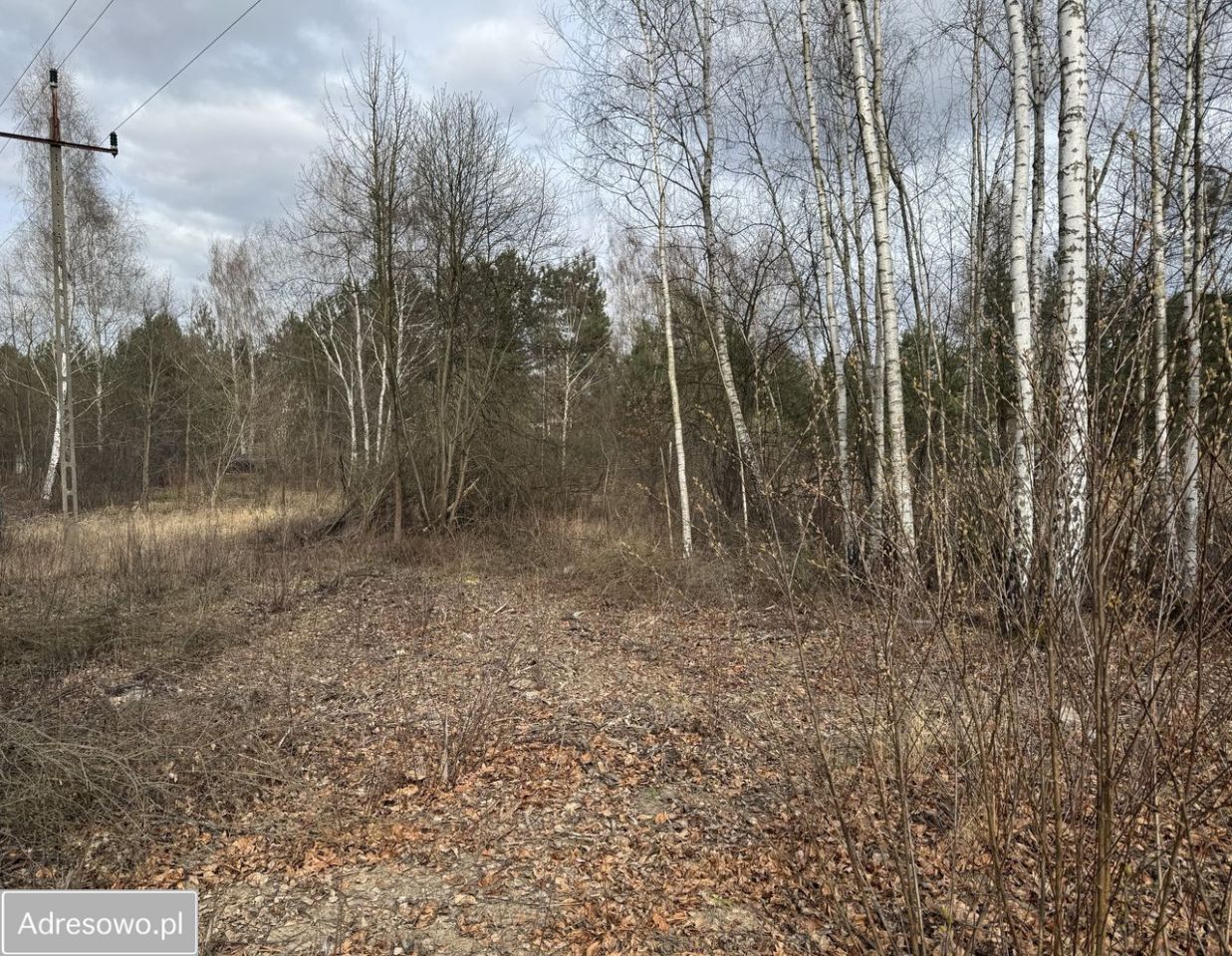 Działka rolno-budowlana Ślężany, ul. Lipowa. Zdjęcie 1