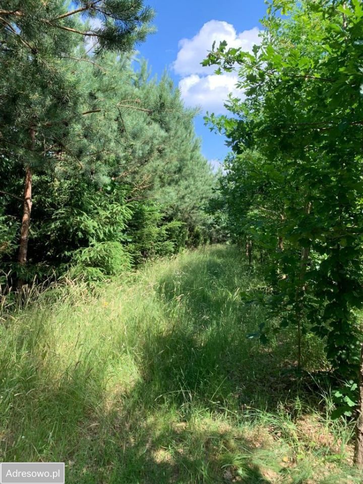 Działka rolno-budowlana Michałki. Zdjęcie 7