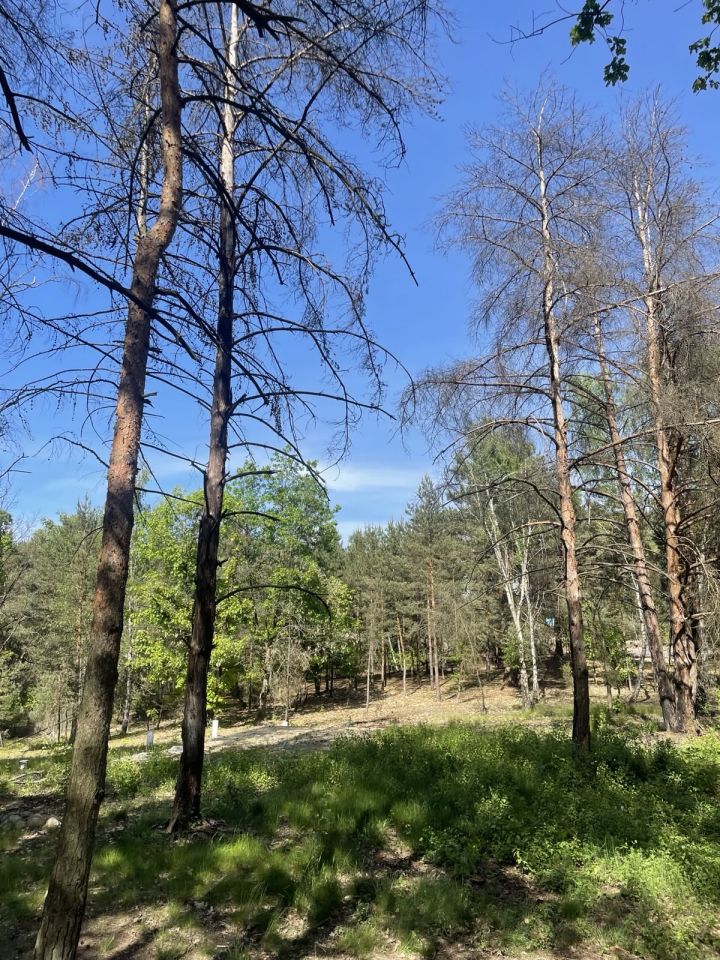 Działka budowlana Mniszew. Zdjęcie 12