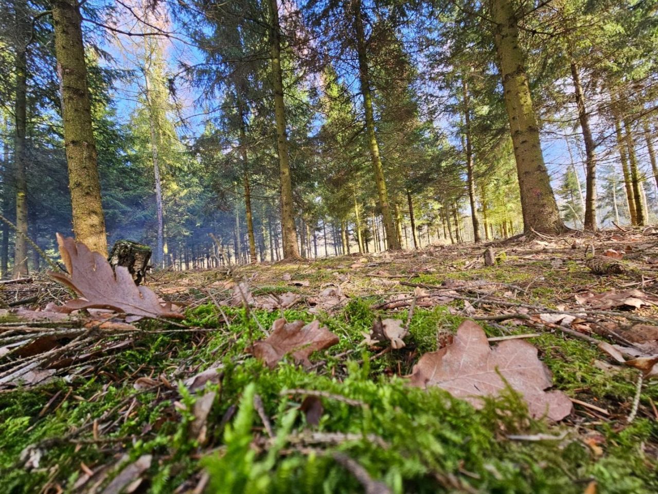 Działka budowlana Studnie. Zdjęcie 6