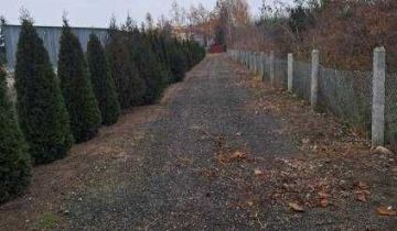 Działka budowlana Łęczyca, ul. Ozorkowskie Przedmieście