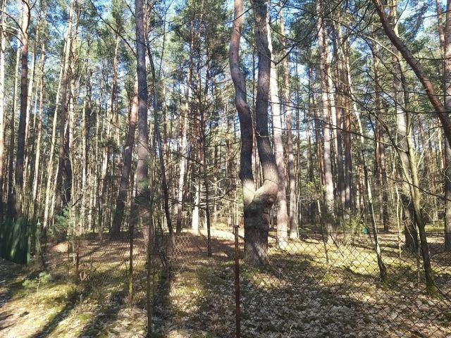 Działka rekreacyjna Osiedle Wilga. Zdjęcie 1