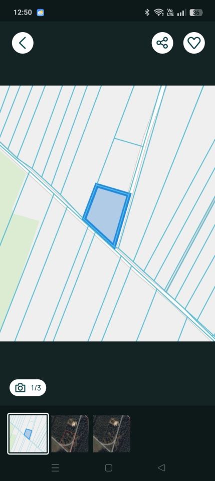 Działka inwestycyjna Bilew, Kolonia. Zdjęcie 3