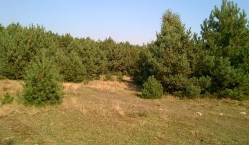 Działka budowlana Kalisz