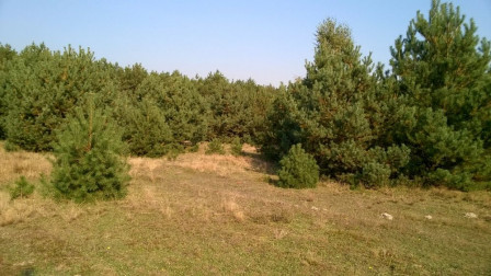 Działka budowlana Kalisz