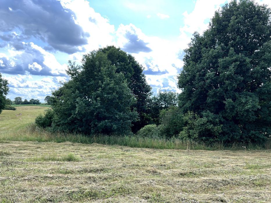 Działka rolno-budowlana Ględy. Zdjęcie 2