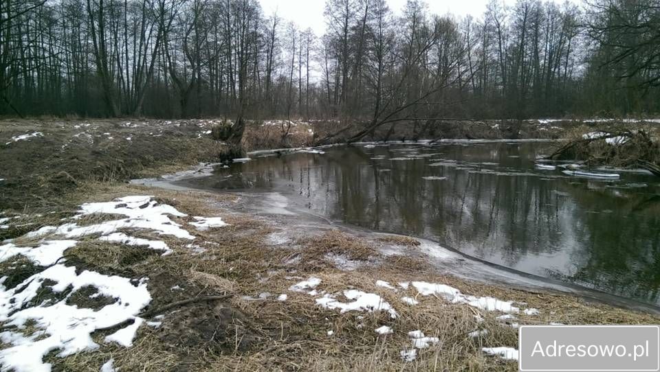 Działka rolna Płaciszewo. Zdjęcie 1