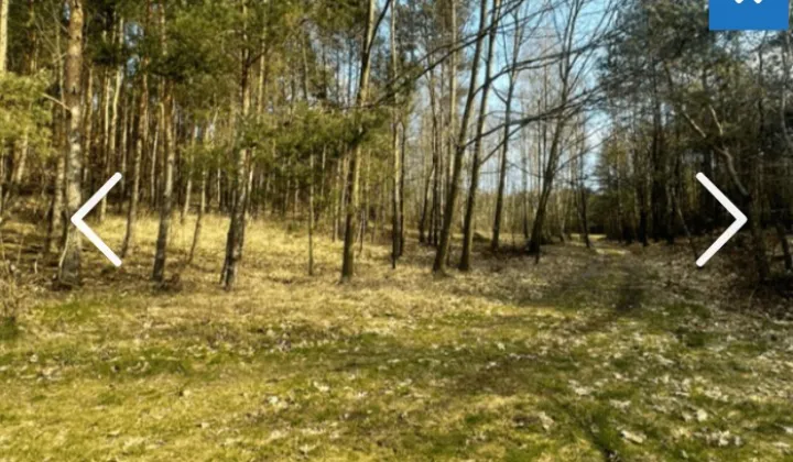 Działka rolna Niemgłowy