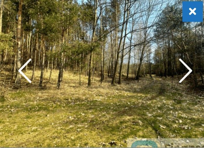 Działka rolna Niemgłowy. Zdjęcie 1