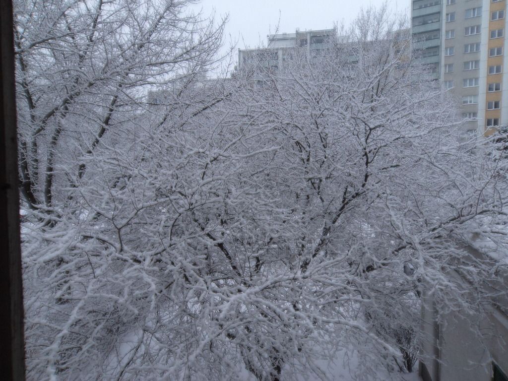 Mieszkanie 4-pokojowe Warszawa Wilanów, ul. Królowej Marysieńki. Zdjęcie 8