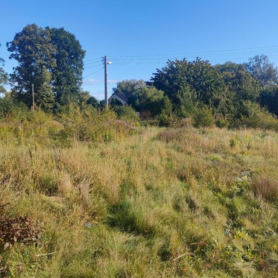 Działka budowlana Rumia, ul. Lipowa. Zdjęcie 6