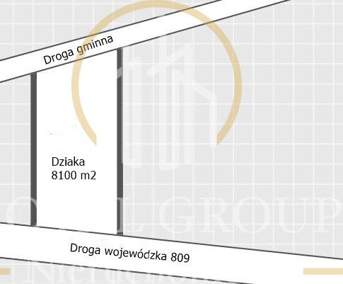Działka rolna Rudno. Zdjęcie 9