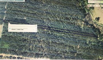 Działka leśna Smyków