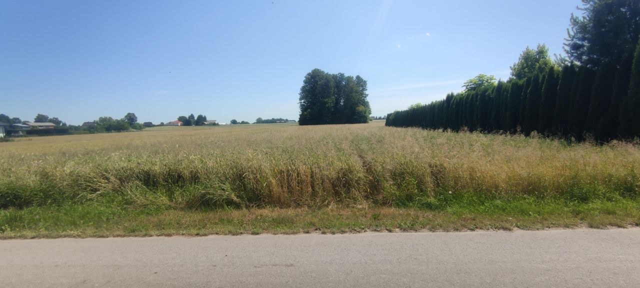 Działka budowlana Szopinek. Zdjęcie 16