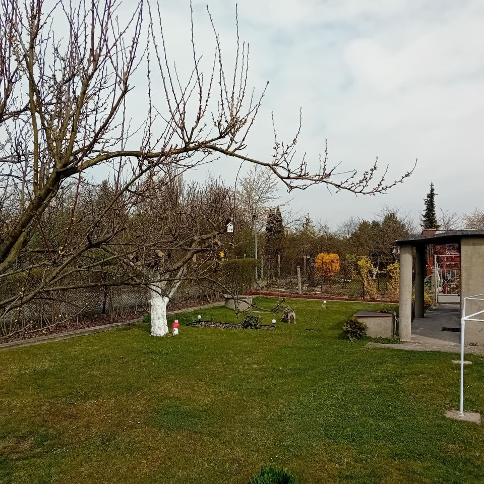 Działka rod Gliwice, ul. Rybnicka. Zdjęcie 9