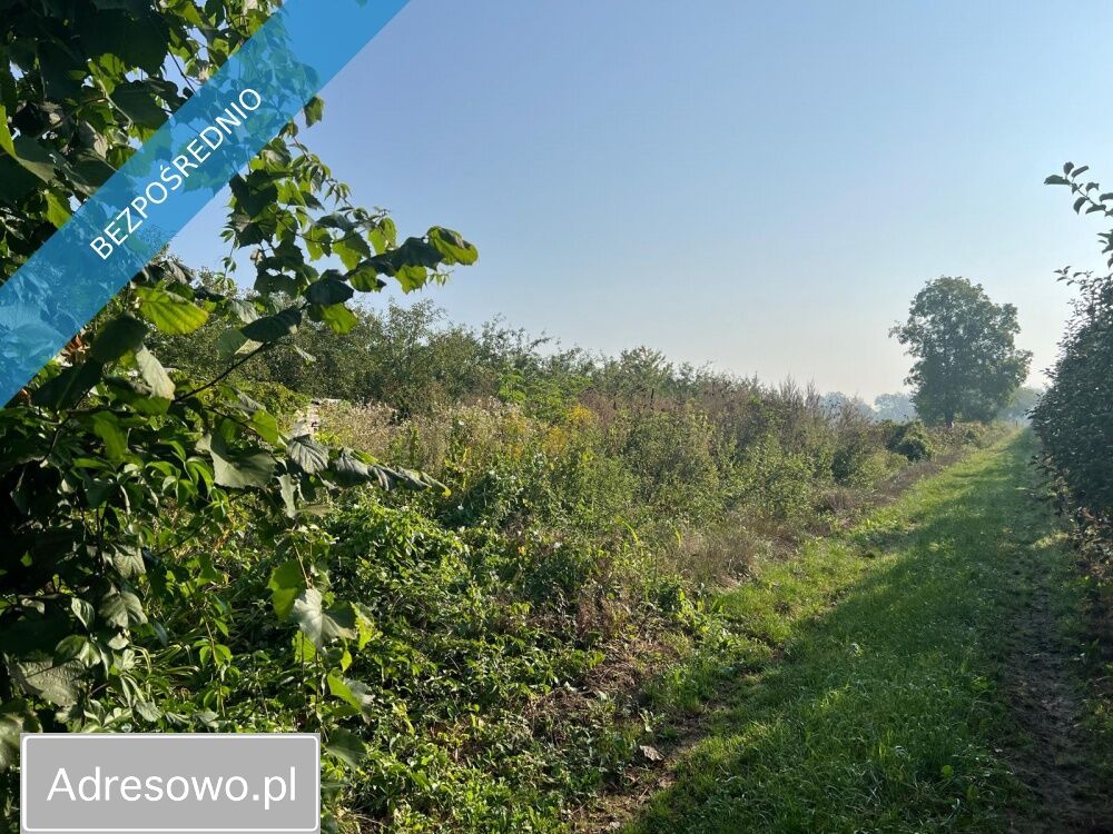 Działka budowlana Brzumin. Zdjęcie 6