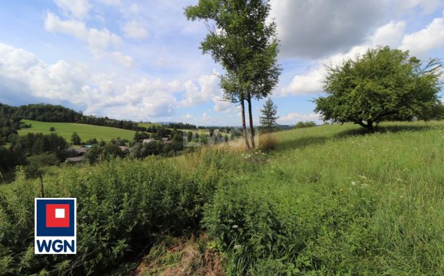 Działka budowlana Leszna Górna. Zdjęcie 1